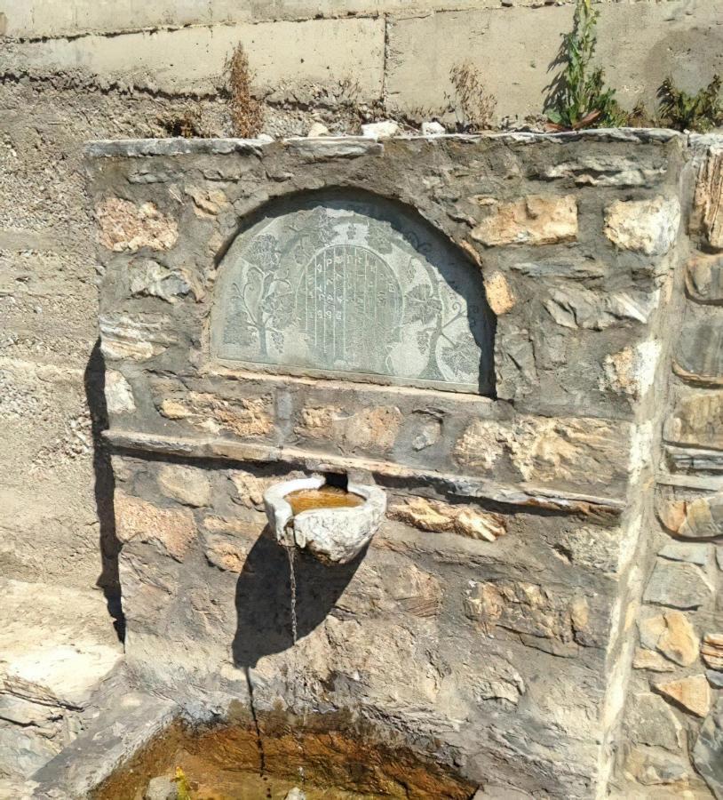 Rapsani Panorama Villa מראה חיצוני תמונה