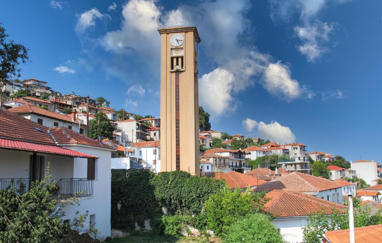 Rapsani Panorama Villa מראה חיצוני תמונה